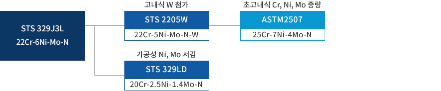 Duplex STS 계통도